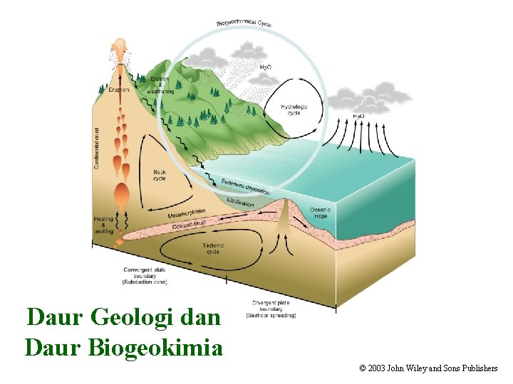 Daur Geologi dan Daur Biogeokimia © 2003 John Wiley and Sons Publishers 