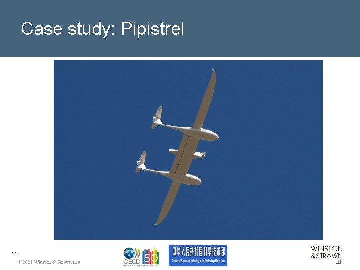 Case study: Pipistrel 24 © 2011 Winston & Strawn LLP 