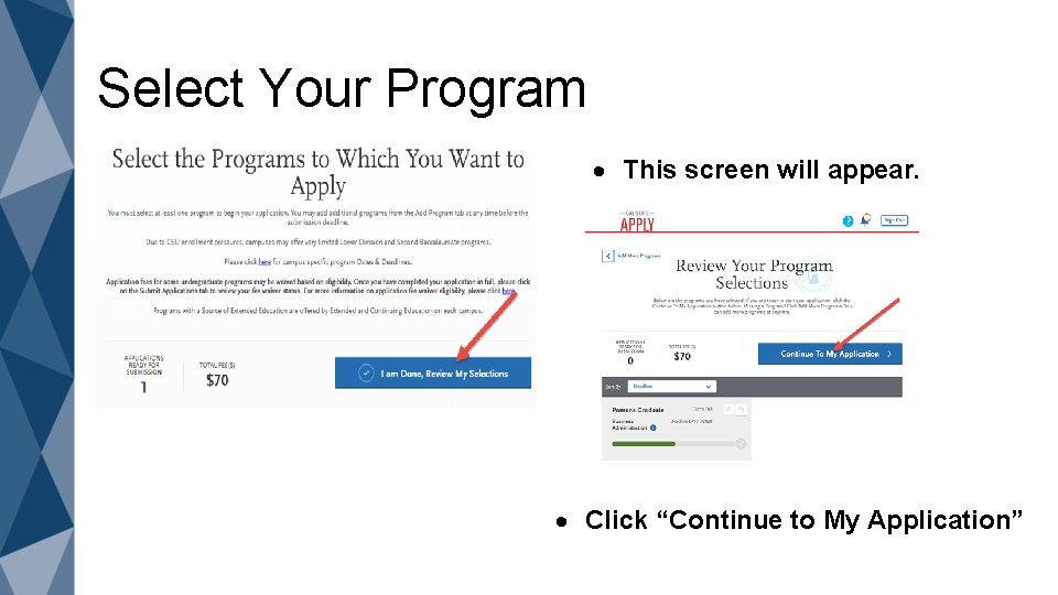Select Your Program This screen will appear. Click “Continue to My Application” 
