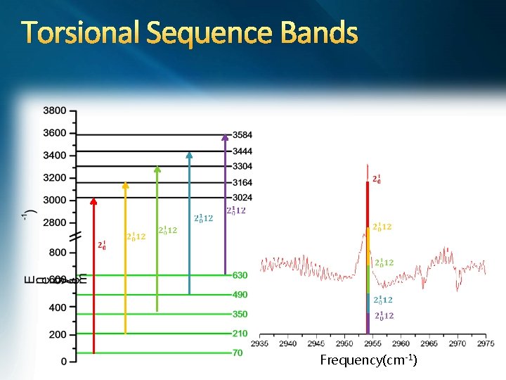 Torsional Sequence Bands Frequency(cm-1) 