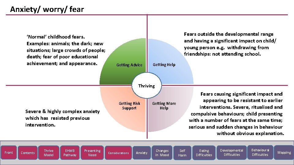 Anxiety/ worry/ fear ‘Normal’ childhood fears. Examples: animals; the dark; new situations; large crowds