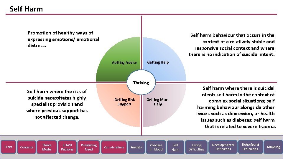 Self Harm Promotion of healthy ways of expressing emotions/ emotional distress. Self harm behaviour