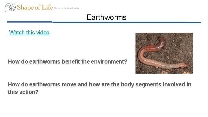 Earthworms Watch this video How do earthworms benefit the environment? How do earthworms move