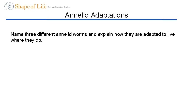 Annelid Adaptations Name three different annelid worms and explain how they are adapted to