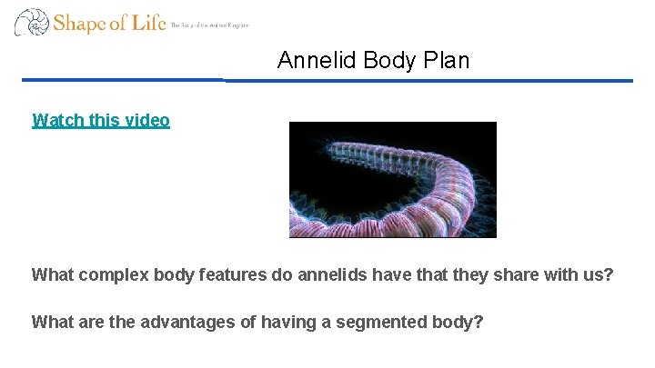 Annelid Body Plan Watch this video What complex body features do annelids have that