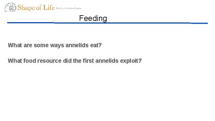 Feeding What are some ways annelids eat? What food resource did the first annelids