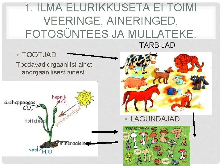 1. ILMA ELURIKKUSETA EI TOIMI VEERINGE, AINERINGED, FOTOSÜNTEES JA MULLATEKE. TARBIJAD • TOOTJAD Toodavad