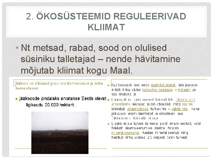 2. ÖKOSÜSTEEMID REGULEERIVAD KLIIMAT • Nt metsad, rabad, sood on olulised süsiniku talletajad –