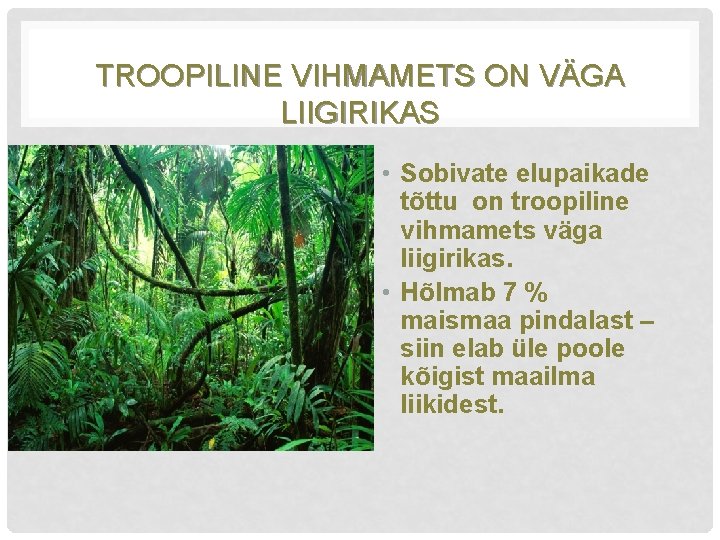 TROOPILINE VIHMAMETS ON VÄGA LIIGIRIKAS • Sobivate elupaikade tõttu on troopiline vihmamets väga liigirikas.