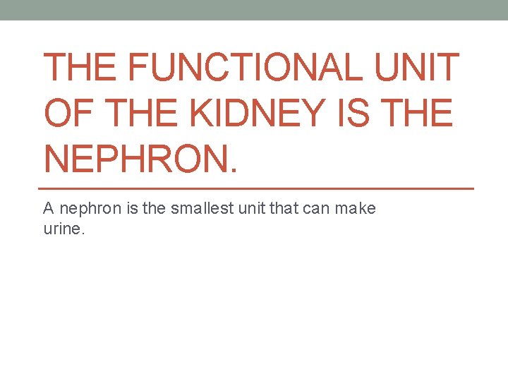 THE FUNCTIONAL UNIT OF THE KIDNEY IS THE NEPHRON. A nephron is the smallest