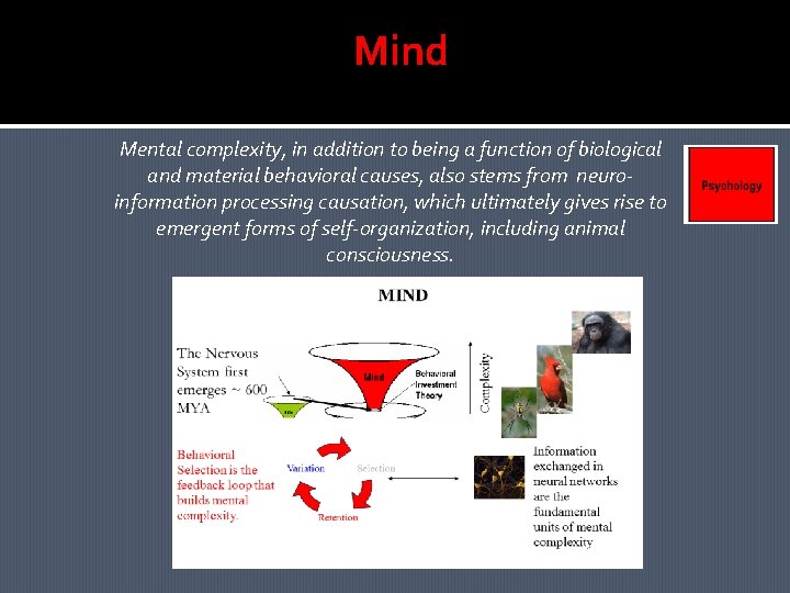 Mind Mental complexity, in addition to being a function of biological and material behavioral Mind Mental complexity, in addition to being a function of biological and material behavioral