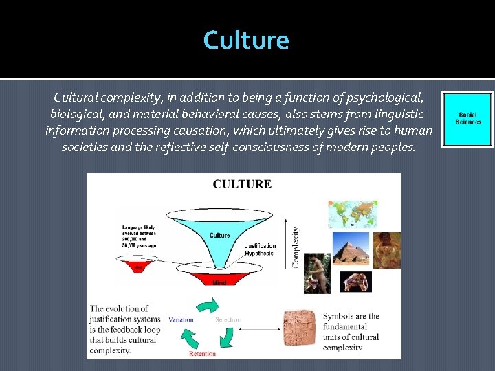 Culture Cultural complexity, in addition to being a function of psychological, biological, and material Culture Cultural complexity, in addition to being a function of psychological, biological, and material