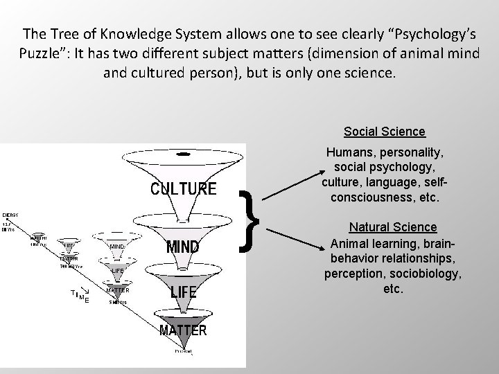 The Tree of Knowledge System allows one to see clearly “Psychology’s Puzzle”: It has The Tree of Knowledge System allows one to see clearly “Psychology’s Puzzle”: It has