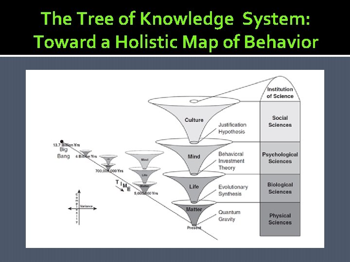 The Tree of Knowledge System: Toward a Holistic Map of Behavior  The Tree of Knowledge System: Toward a Holistic Map of Behavior