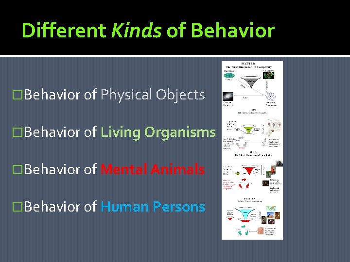 Different Kinds of Behavior �Behavior of Physical Objects �Behavior of Living Organisms �Behavior of Different Kinds of Behavior �Behavior of Physical Objects �Behavior of Living Organisms �Behavior of