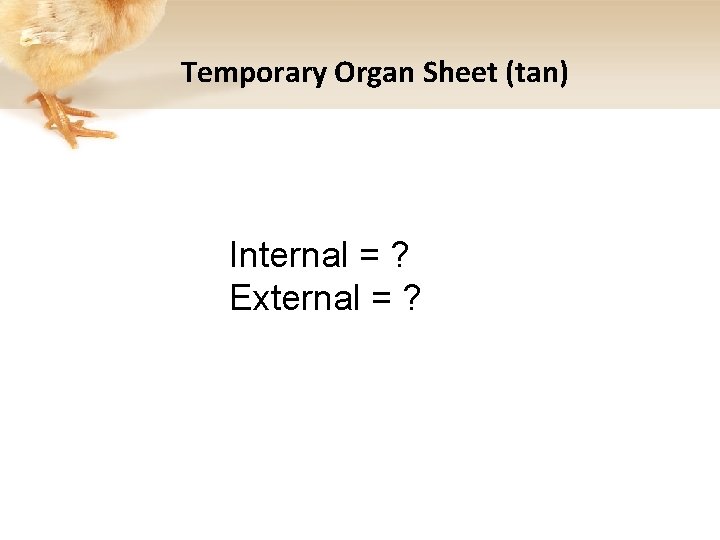 Temporary Organ Sheet (tan) Internal = ? External = ? 