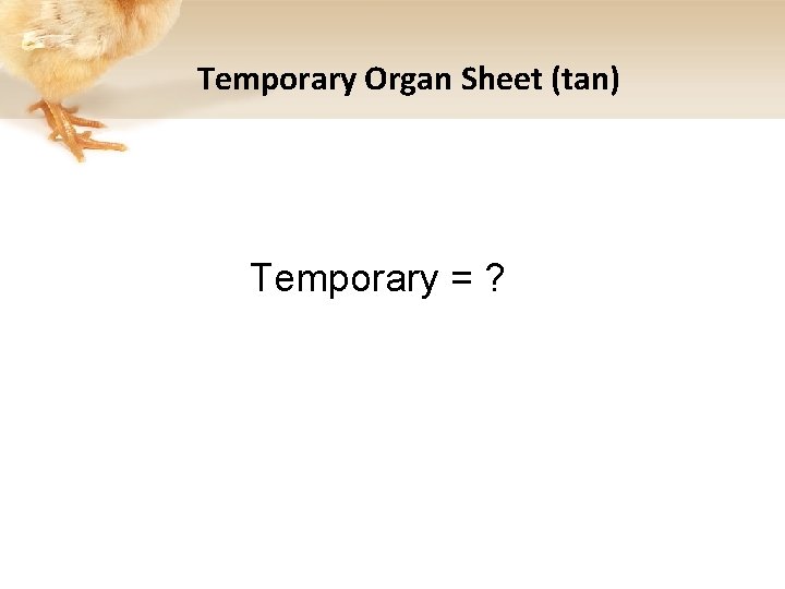 Temporary Organ Sheet (tan) Temporary = ? 