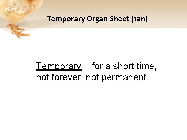 Temporary Organ Sheet (tan) Temporary = for a short time, not forever, not permanent