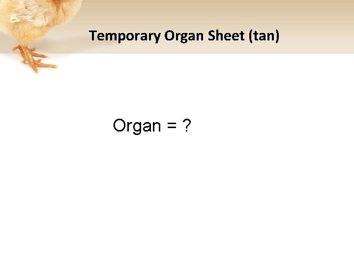 Temporary Organ Sheet (tan) Organ = ? 