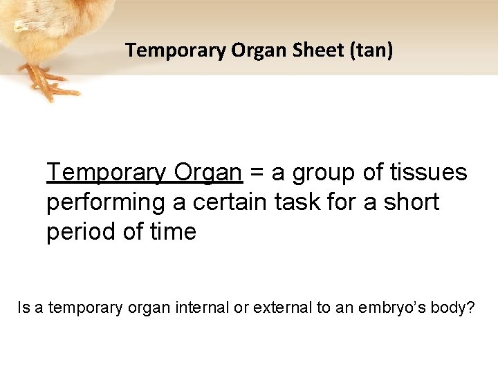 Temporary Organ Sheet (tan) Temporary Organ = a group of tissues performing a certain