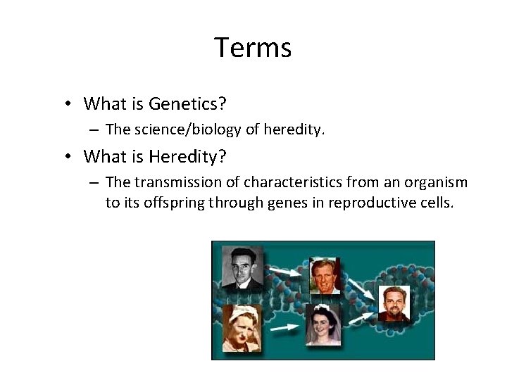 Terms • What is Genetics? – The science/biology of heredity. • What is Heredity?