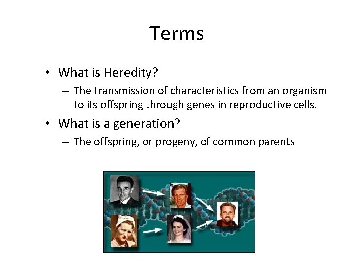 Terms • What is Heredity? – The transmission of characteristics from an organism to