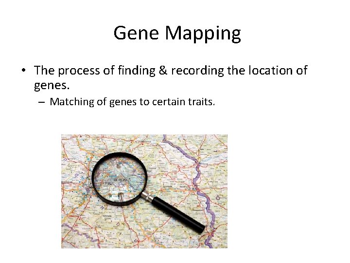 Gene Mapping • The process of finding & recording the location of genes. –