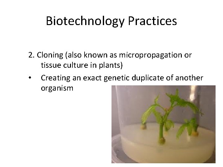 Biotechnology Practices 2. Cloning (also known as micropropagation or tissue culture in plants) •