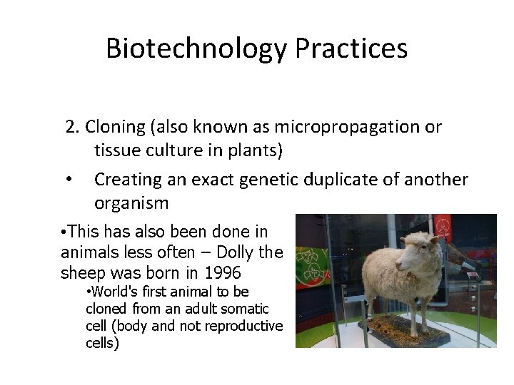 Biotechnology Practices 2. Cloning (also known as micropropagation or tissue culture in plants) •