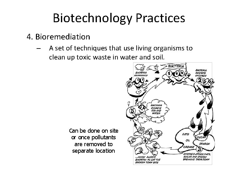Biotechnology Practices 4. Bioremediation – A set of techniques that use living organisms to