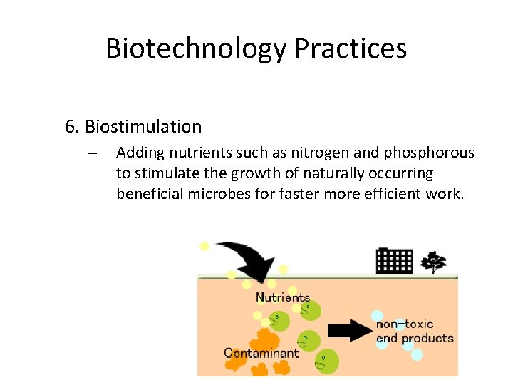 Biotechnology Practices 6. Biostimulation – Adding nutrients such as nitrogen and phosphorous to stimulate