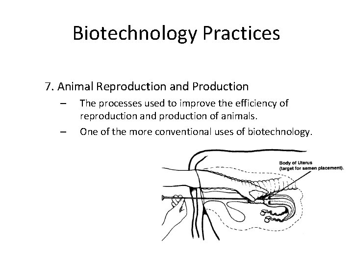 Biotechnology Practices 7. Animal Reproduction and Production – – The processes used to improve