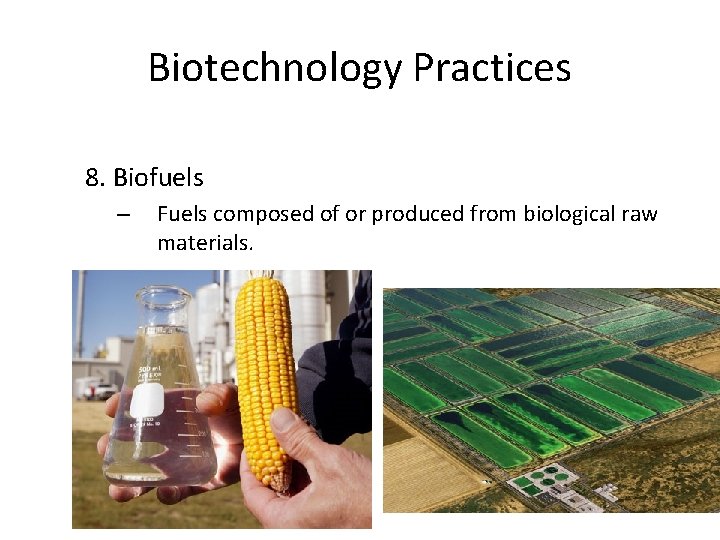 Biotechnology Practices 8. Biofuels – Fuels composed of or produced from biological raw materials.