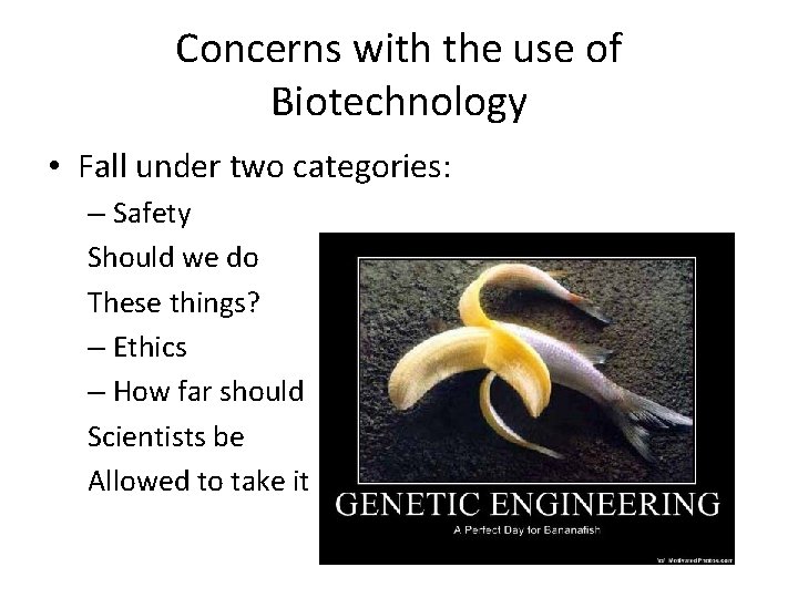 Concerns with the use of Biotechnology • Fall under two categories: – Safety Should