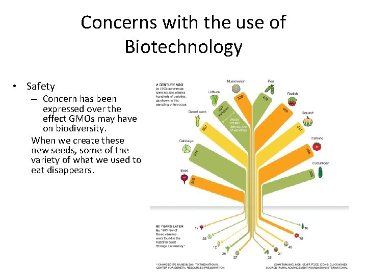Concerns with the use of Biotechnology • Safety – Concern has been expressed over