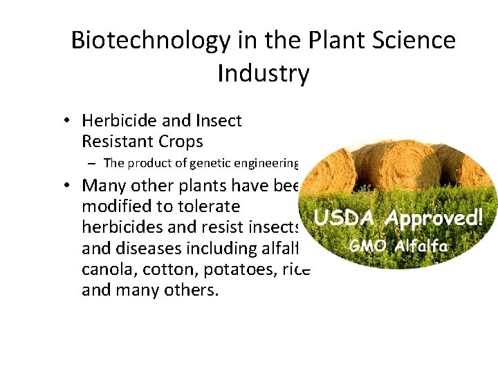 Biotechnology in the Plant Science Industry • Herbicide and Insect Resistant Crops – The