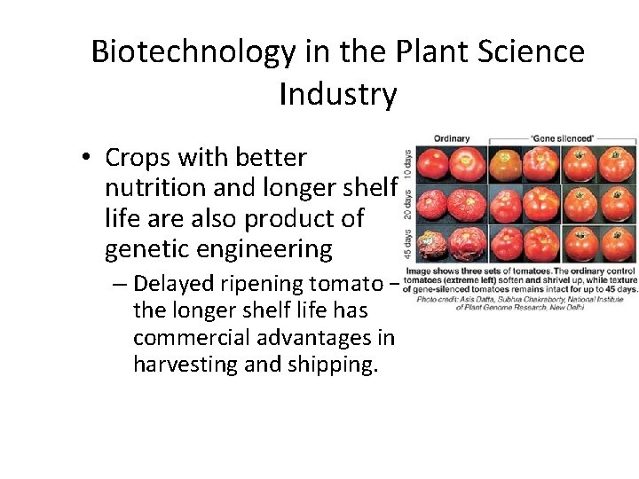 Biotechnology in the Plant Science Industry • Crops with better nutrition and longer shelf