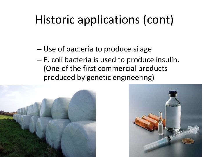 Historic applications (cont) – Use of bacteria to produce silage – E. coli bacteria