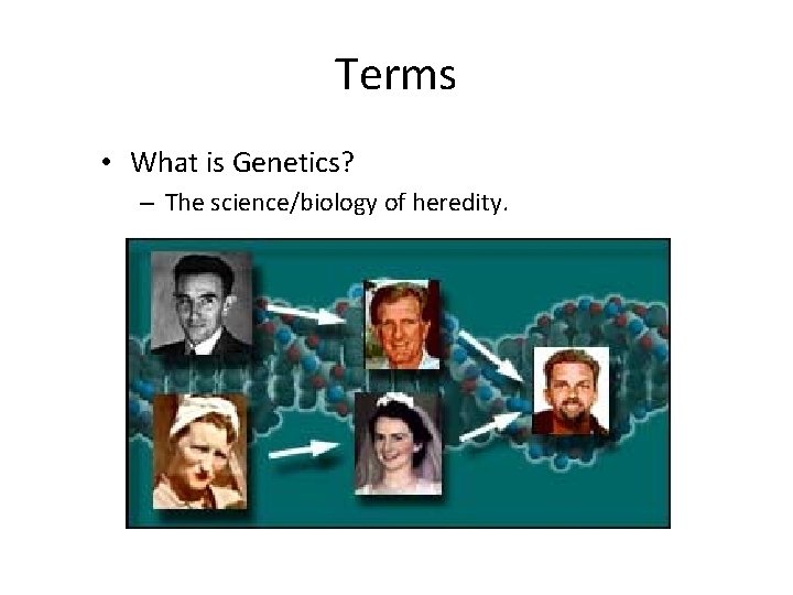 Terms • What is Genetics? – The science/biology of heredity. 