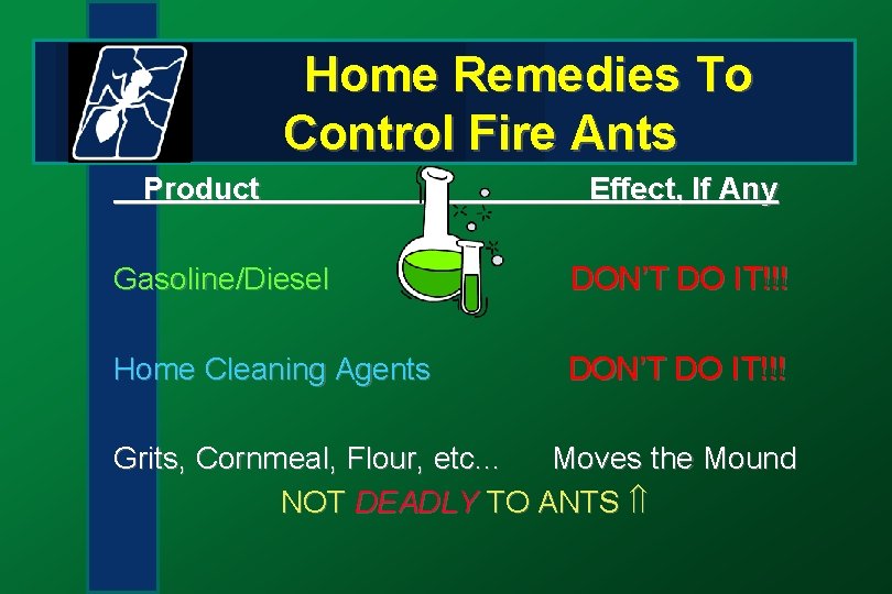 Home Remedies To Control Fire Ants Product Effect, If Any Gasoline/Diesel DON’T DO IT!!!