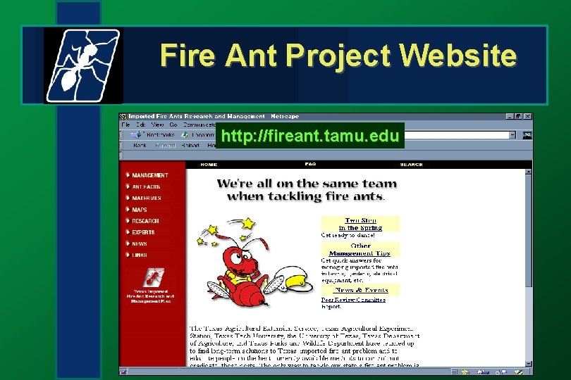Fire Ant Project Website http: //fireant. tamu. edu 