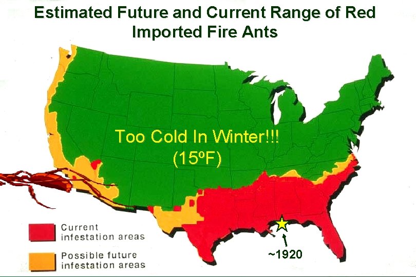 Estimated Future and Current Range of Red Imported Fire Ants Too Cold In Winter!!!