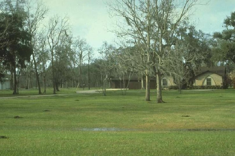 Homestead 