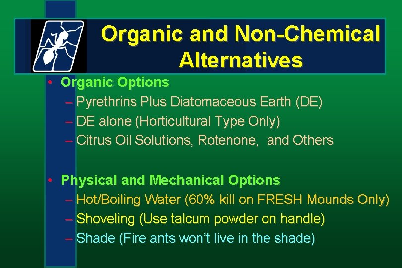 Organic and Non-Chemical Alternatives • Organic Options – Pyrethrins Plus Diatomaceous Earth (DE) –
