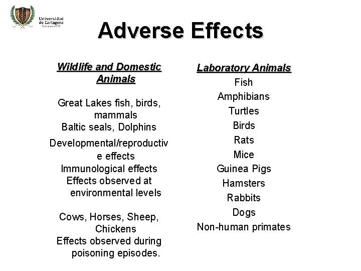 Adverse Effects Wildlife and Domestic Animals Great Lakes fish, birds, mammals Baltic seals, Dolphins
