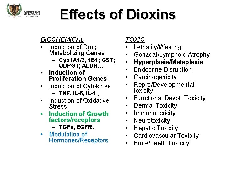 Effects of Dioxins BIOCHEMICAL • Induction of Drug Metabolizing Genes – Cyp 1 A