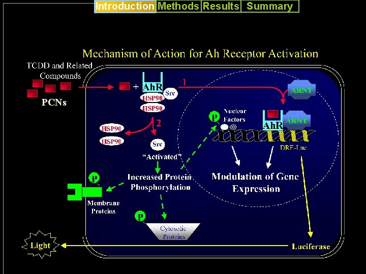 Introduction Methods Results Summary PCNs 