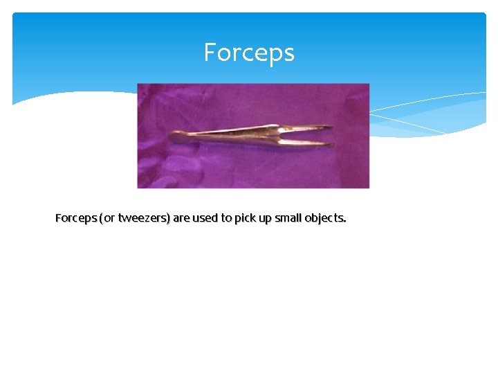 Forceps (or tweezers) are used to pick up small objects. 