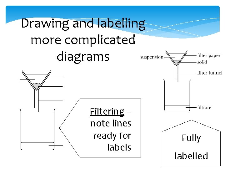 Drawing and labelling more complicated diagrams Filtering – note lines ready for labels Fully