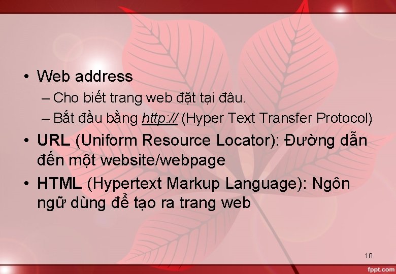  • Web address – Cho biết trang web đặt tại đâu. – Bắt